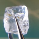 TOPAZ(토파즈)