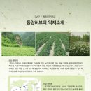 동양허브 - 강동구 양재대로138길 14 | 동양허브