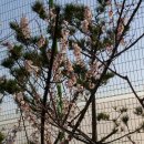 오륙도중학교 이미지