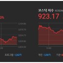 케이골든바이오