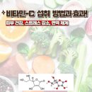 클로버짐 이미지