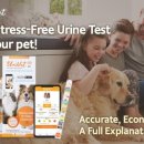 늘사랑 양한방 동물병원 이미지