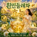 토종흰민들레식품 | 흰민들레차 7가지효능 총정리, 간 건강부터 면역력 관리까지