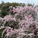 예쁜언니들 샵 | 광주 근교 예쁜 카페 세컨드원 추천 만족스러웠던 후기