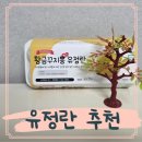 자연방사 황금꾸찌뽕유정란 난각번호1번 후기