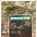 대전둘레산길(12구간) 이미지