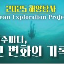 신도리-5 이미지