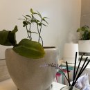 동부사랑의원 이미지