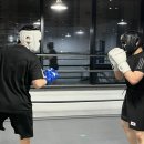 비 복싱짐 | 반복되는 일상에 찾아온 짜릿한 변화, '동탄센트럴복싱짐' 솔직 방문 후기