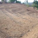 파주흑염소농장 이미지