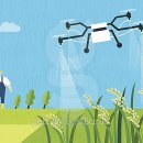 공지로1 이미지