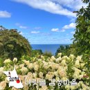 마을안길 | 강원도 목수국 명소! 삼척 여행 코스 나릿골 감성마을 여름 방문 후기
