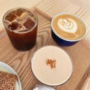 카페알리움 | [송파맛집]방이동 맛집 방이동카페 방이동 애견동반 카페 셰이커 5/28 가오픈 내돈내산 후기