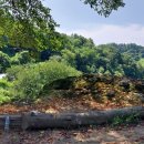 호두구름이네 이미지