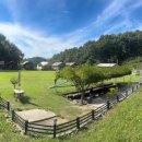 개차반캠핑장 이미지