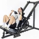 쑥 피트니스 이미지