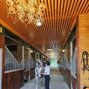 카일라스승마클럽 이미지