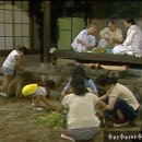 흥수목장 이미지