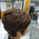 김선자미용실 - 송파구 | 김선자미용실