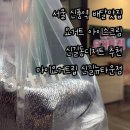[서울] 서울 신풍역 배달맛집 요거트 아이스크림 신길동디저트 추천 “마이요거트립 신길뉴타운점”