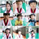 XPL 태권도 이미지