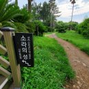 제주의 사색 이미지