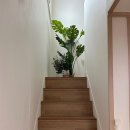 딥스테이253