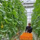 영림농장 이미지