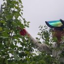 남정면사무소 이미지