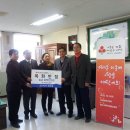 목화반점 이미지