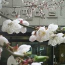 난향동-3 이미지