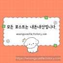 건강이네 | [평택 고덕 디저트맛집] 건강하고 맛있는 케이크 맛집 &#34;리벌스(Rebirth)&#34; 솔직 후기