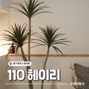 헤이리힐스 힐링하우스 | 파주 감성 숙소 에어비앤비, 110 헤이리 H01룸 | 방2 화장실2 가족여행 후기