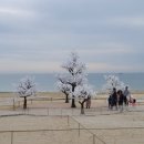 김해공항국제선관광안내소 이미지