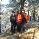 500074 Daum카페