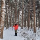 물영아리오름 이미지