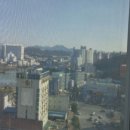리채골드