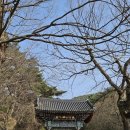 아라메길 (도비마루길) 이미지