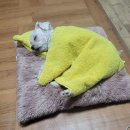 9월 (2)