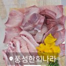 풍성한회나라 이미지