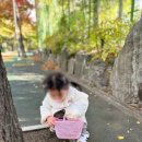 평안어린이집 이미지