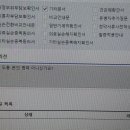 소미실비