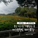 태신목장 | 충남 예산 아이랑가볼만한곳 추천 아그로랜드 태신목장 후기