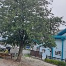 변산쉴만한물가펜션 이미지