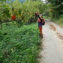 심원자연 이미지