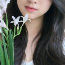 힐링&면역력케어센터 이미지