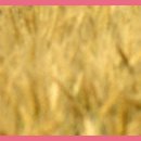 광탄한의원 이미지