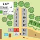푸르존