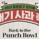 양구펀치볼사과