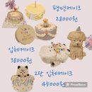 댕댕파티 이미지